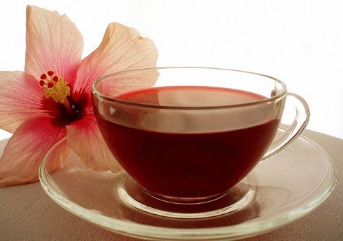 trà linh chi tốt cho sức khỏe